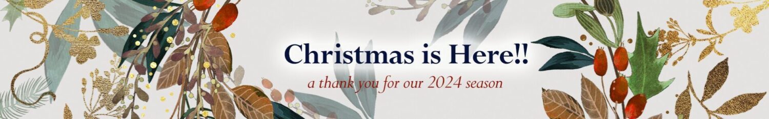 personalised christmas cards, ganymed press, bespoke, charity